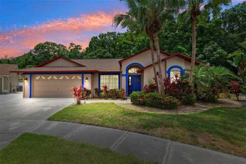 6505 BROADWING COURT, TAMPA, FL 33625