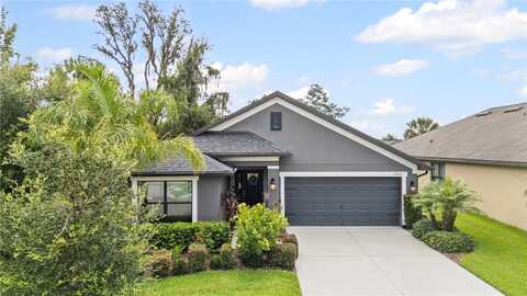12004 LEGACY BRIGHT STREET, RIVERVIEW, FL 33578