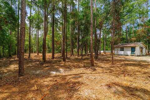 569 NE 356TH AVENUE, OLD TOWN, FL 32680
