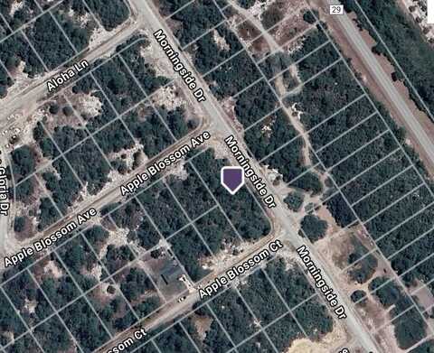 459 APPLE BLOSSOM AVENUE, LAKE PLACID, FL 33852