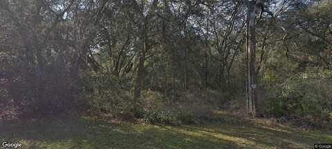 7129 RICKER AVENUE, WEBSTER, FL 33597