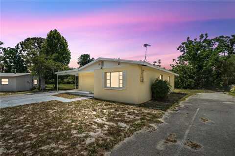 1125 EMERALD DRIVE, MOUNT DORA, FL 32757