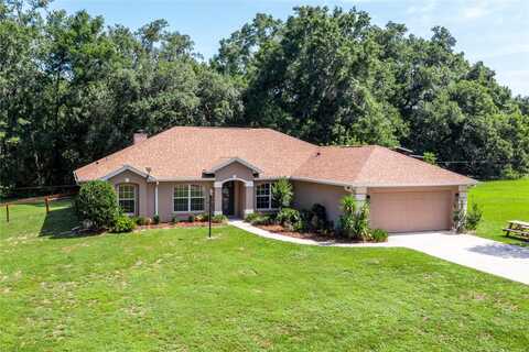 19631 NE 50TH STREET, WILLISTON, FL 32696