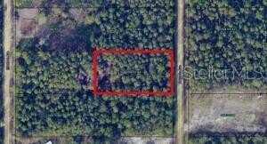 10705 DELGADO AVENUE, HASTINGS, FL 32145