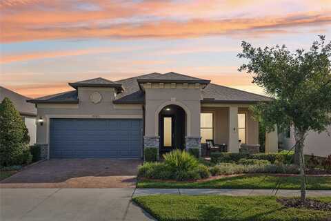 19183 COASTAL SHORE TERRACE, LAND O LAKES, FL 34638