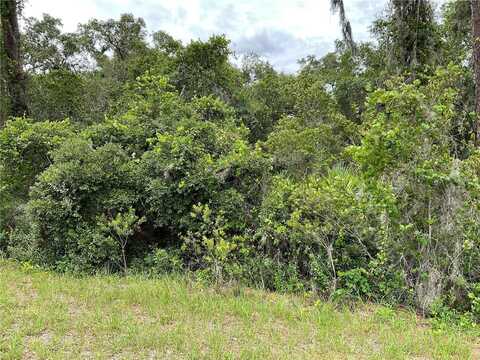 Tbd Lot 60 MALAUKA RADIAL, OCKLAWAHA, FL 32179