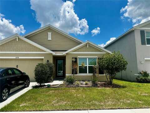 16758 CARLTON POND STREET, WIMAUMA, FL 33598