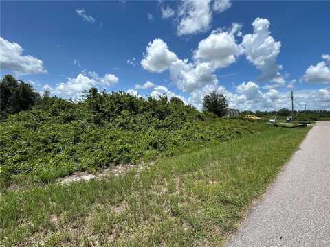 29100 ALFARETTA AVENUE, PUNTA GORDA, FL 33982