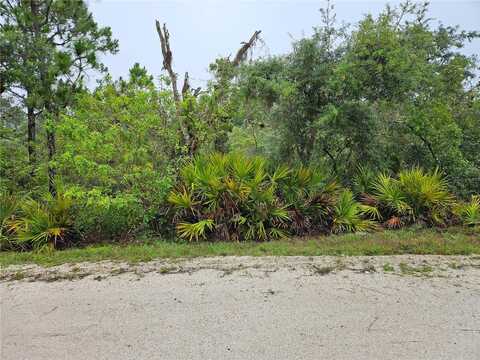 276 DEERWALK AVENUE, LAKE PLACID, FL 33852