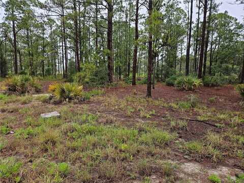 308 SUNFLOWER AVENUE, LAKE PLACID, FL 33852