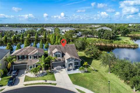 11320 LAZY HICKORY LANE, TAMPA, FL 33635