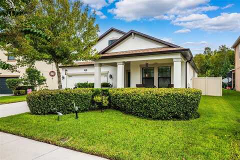 21395 SOUTHERN CHARM DRIVE, LAND O LAKES, FL 34637