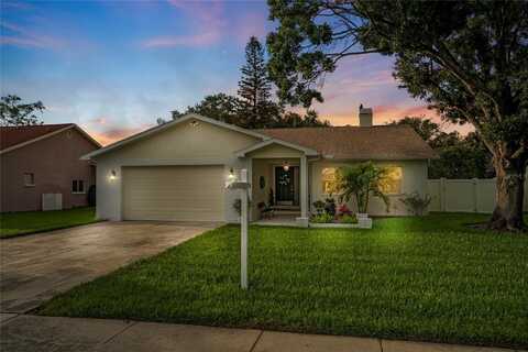 1562 COASTAL PLACE, DUNEDIN, FL 34698