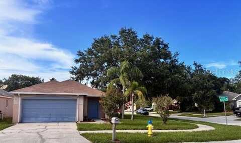 11022 CONNACHT WAY, TAMPA, FL 33610