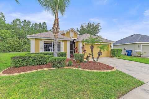 5618 SHEER BLISS LOOP, LAND O LAKES, FL 34639