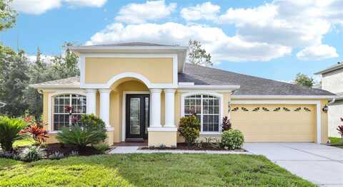 27209 FIREBUSH DRIVE, WESLEY CHAPEL, FL 33544