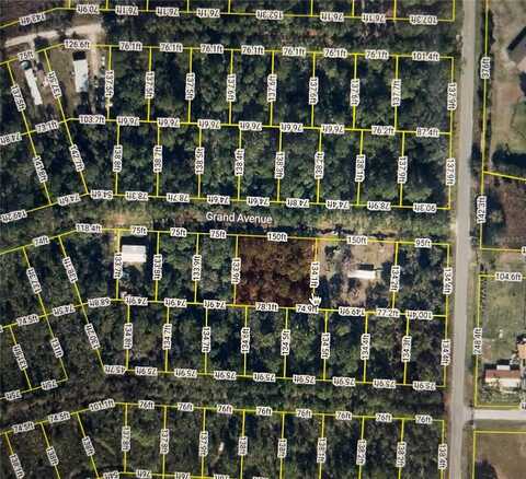 107 GRAND AVENUE, CRESCENT CITY, FL 32112