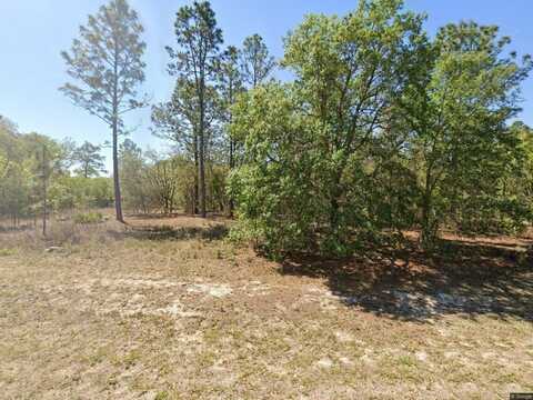 1816 W HAMPSHIRE BOULEVARD, CITRUS SPRINGS, FL 34434