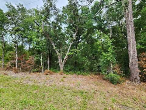 SW 199TH COURT, DUNNELLON, FL 34431