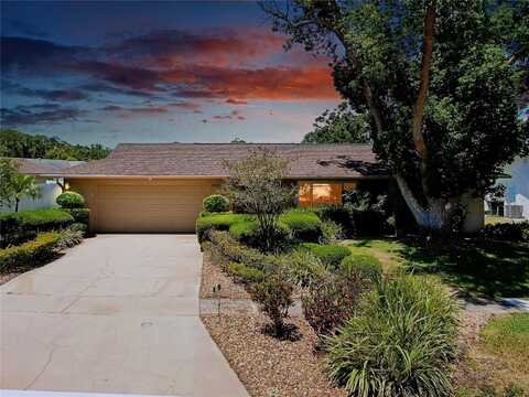 810 ANCHORAGE LANE, PALM HARBOR, FL 34685