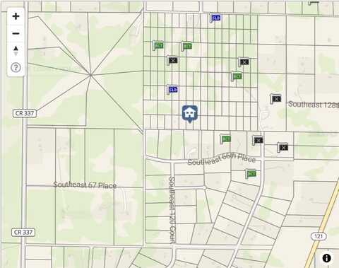 undefined, MORRISTON, FL 32668