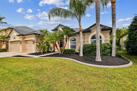 15135 AZRA DRIVE, ODESSA, FL 33556
