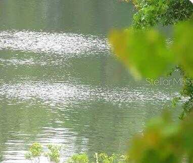 Tbd SE 168 AVENUE, OCKLAWAHA, FL 32179