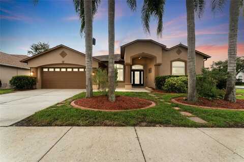 25946 BUCKTHORN AVENUE, LAND O LAKES, FL 34639