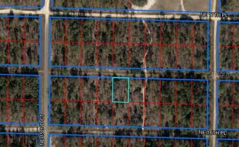 NE 16TH LANE, WILLISTON, FL 32696