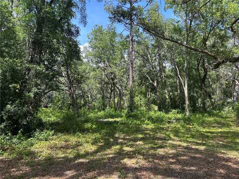 Tbd SE 192ND COURT, MORRISTON, FL 32668