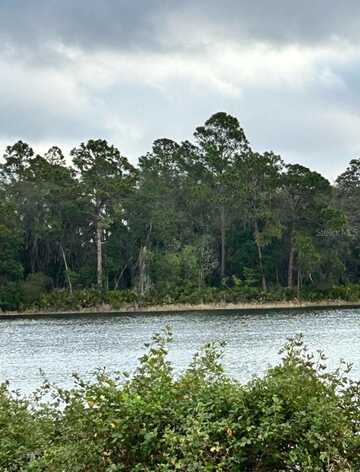 Tbd Lot 49 MALAUKA RADIAL, OCKLAWAHA, FL 32179