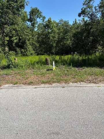 15 LAKE HILLS DRIVE, RIVERVIEW, FL 33578
