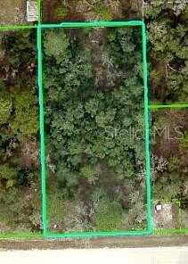 MISSISSIPPI KITE AVENUE, BROOKSVILLE, FL 34614