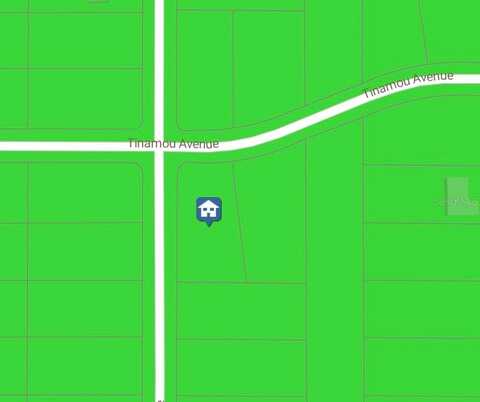 16338 SCAUP DUCK AVENUE, WEEKI WACHEE, FL 34614