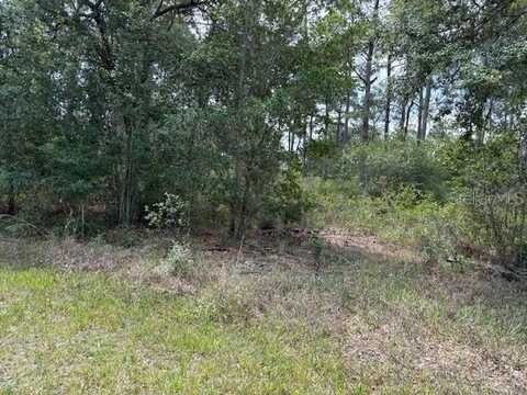 213 PLUMOSA DRIVE, INDIAN LAKE ESTATES, FL 33855
