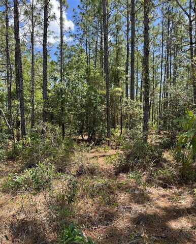 00 POMP {LOT7003} PARKWAY, WEEKI WACHEE, FL 34614