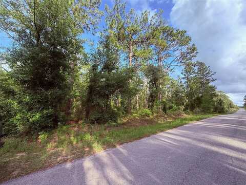 1159 NW REDWOOD DRIVE, DUNNELLON, FL 34431
