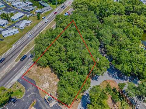 LION LANE, TAVARES, FL 32778
