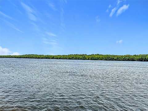 809 BAHIA DEL SOL DRIVE, RUSKIN, FL 33570