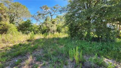 12501 CENTENNIAL STREET, SPRING HILL, FL 34609