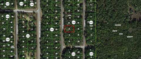 9239 N IRONDALE ROAD, CITRUS SPRINGS, FL 34434