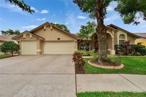 905 BALSAMINA DRIVE, BRANDON, FL 33510