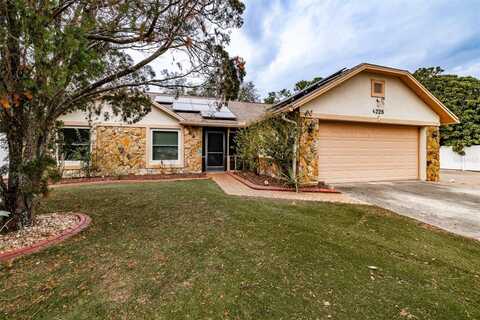 4228 SPRING WAY CIRCLE, VALRICO, FL 33596