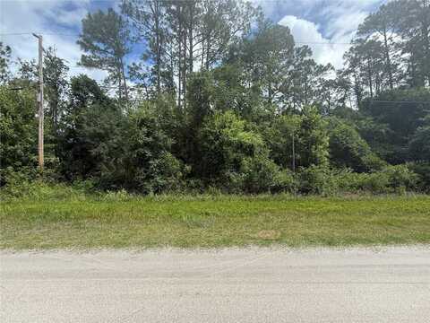 5670 NUTWOOD AVENUE, BUNNELL, FL 32110