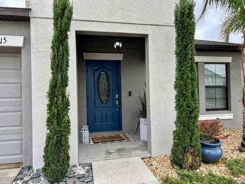 14015 ARBOR PINES DRIVE, RIVERVIEW, FL 33579