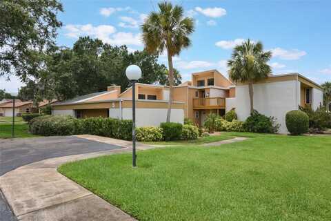 1051 S HIGHLAND STREET, MOUNT DORA, FL 32757