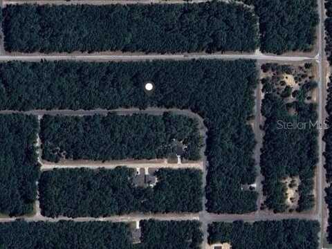 9239 N PATCH DRIVE, DUNNELLON, FL 34434