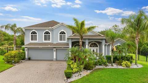 6234 TREMAYNE DRIVE, MOUNT DORA, FL 32757