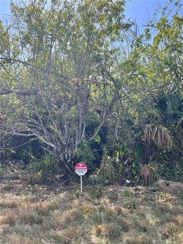 20215 HILLSBOROUGH STREET, PORT CHARLOTTE, FL 33948