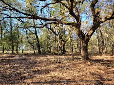 3.57ac NE 315 HIGHWAY, FORT MC COY, FL 32134